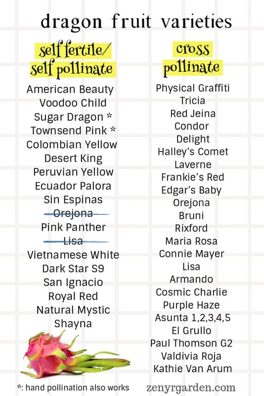 Dragon Fruit Varieties Selection Guide